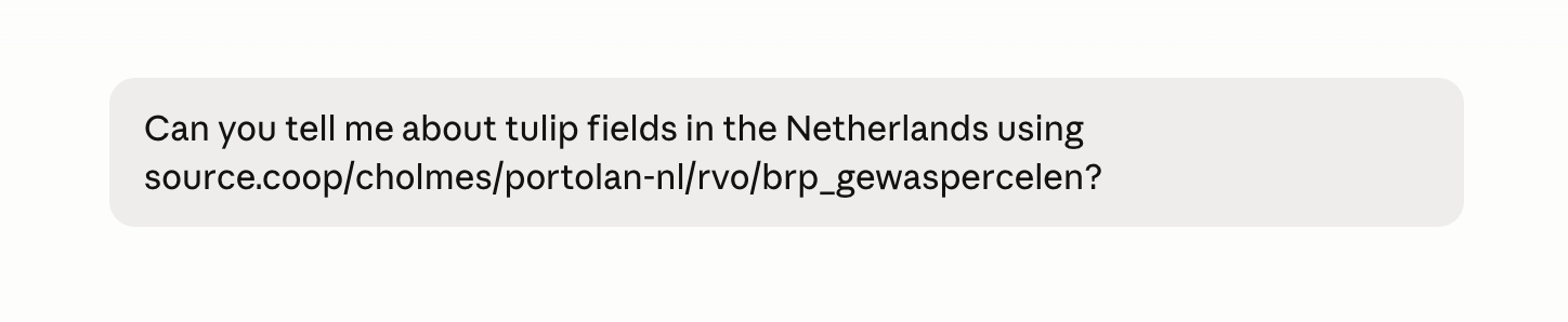 Chat prompt asking about tulip fields