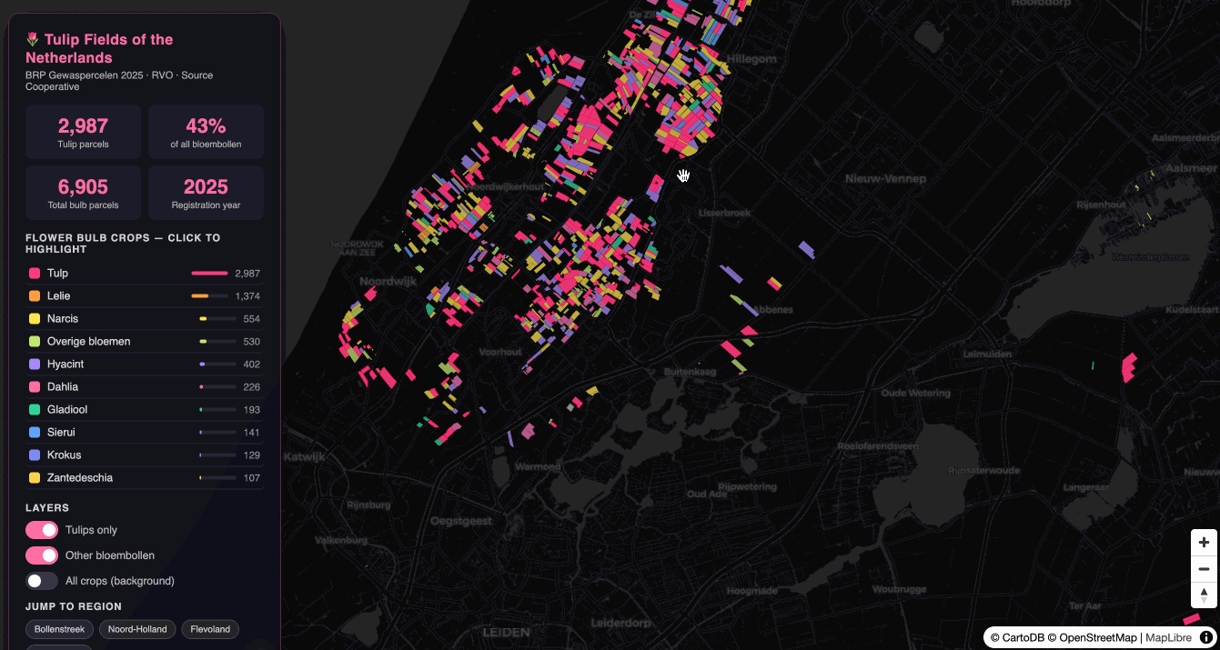 AI-generated tulip map application